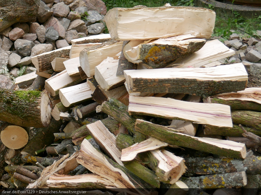 Dieses Foto zeigt einen Holzhaufen, also einen Berg mit lose aufgestapelten Holzscheiten.